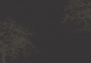 background image for Highland at Springhill