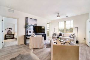 apartment living room with couches